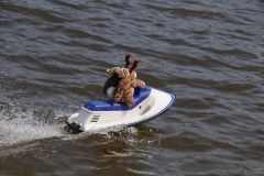 9. Juni 2019 cooltour-Sommer Städtetag Modellschiffbauer