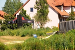 29. Juni cooltourSommer im Fischhofpark - Flyboarder