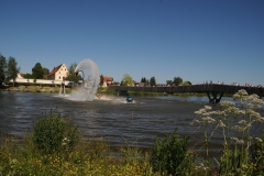 29. Juni cooltourSommer im Fischhofpark - Flyboarder