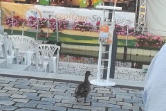 21. Juni - cooltourSommer Stadtkapelle Tirschenreuth