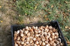 PHOTO-2018-10-21-09-16-36(3)