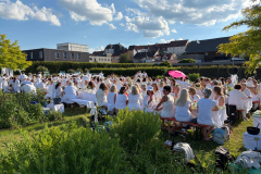 20260618-DinerEnBlanc-KarlSchwaegerl-WhatsApp-Image-2026-06-18-at-18.33.35
