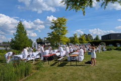 20260618-DinerEnBlanc-WalterSiegert-WhatsApp-Image-2026-06-18-at-17.06.41-1